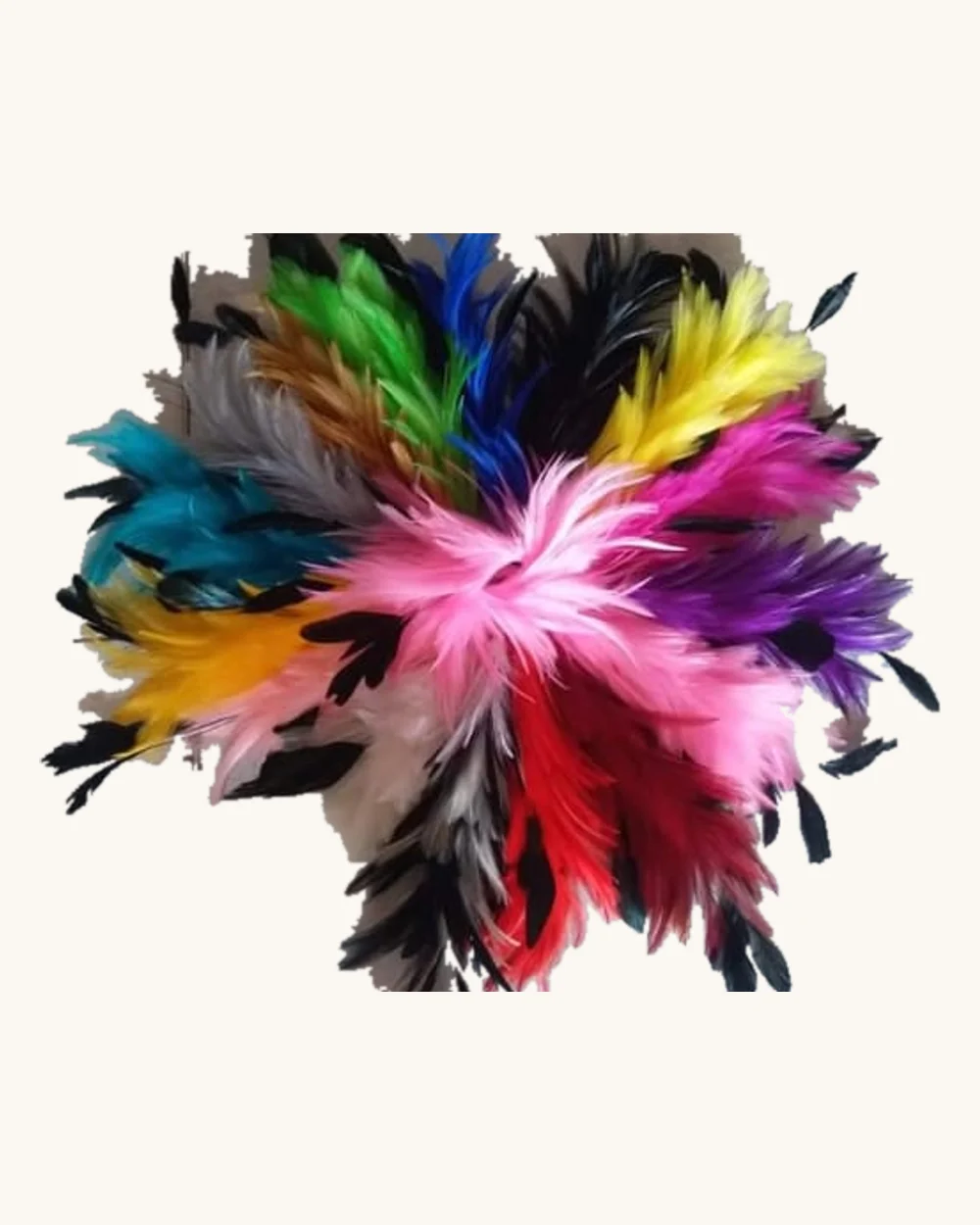 Fluffy Feathers